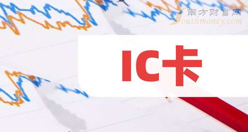 2025年软件外包服务视角下的IC卡龙头厂商分析